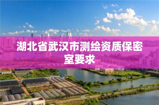 湖北省武汉市测绘资质保密室要求