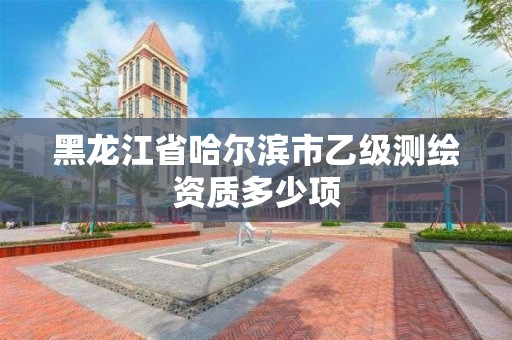 黑龙江省哈尔滨市乙级测绘资质多少项