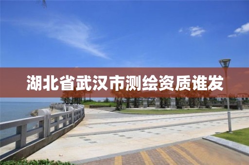 湖北省武汉市测绘资质谁发