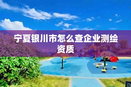 宁夏银川市怎么查企业测绘资质