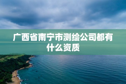 广西省南宁市测绘公司都有什么资质