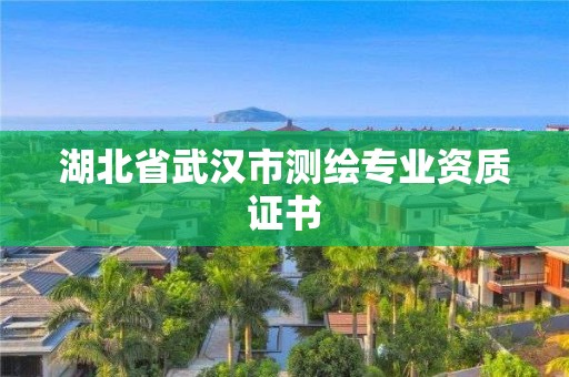 湖北省武汉市测绘专业资质证书