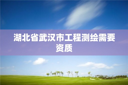 湖北省武汉市工程测绘需要资质