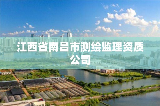 江西省南昌市测绘监理资质公司