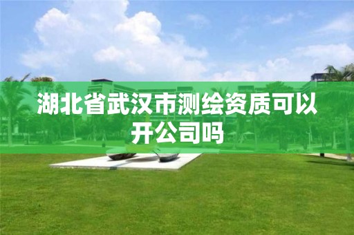 湖北省武汉市测绘资质可以开公司吗