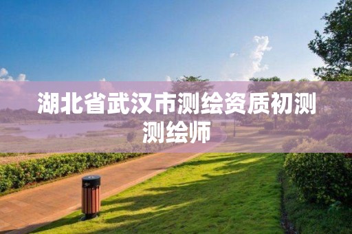 湖北省武汉市测绘资质初测测绘师