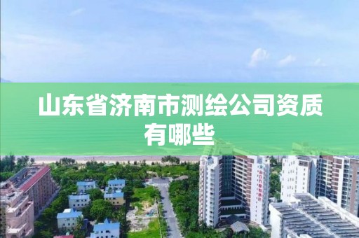 山东省济南市测绘公司资质有哪些