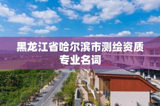 黑龙江省哈尔滨市测绘资质专业名词