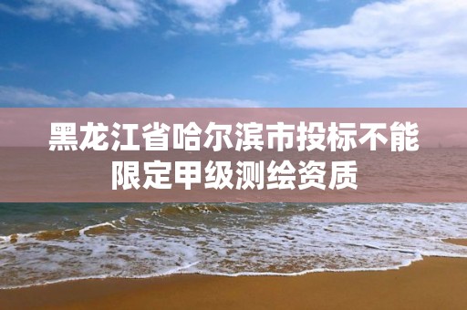 黑龙江省哈尔滨市投标不能限定甲级测绘资质