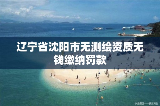 辽宁省沈阳市无测绘资质无钱缴纳罚款