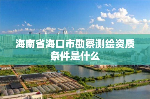 海南省海口市勘察测绘资质条件是什么