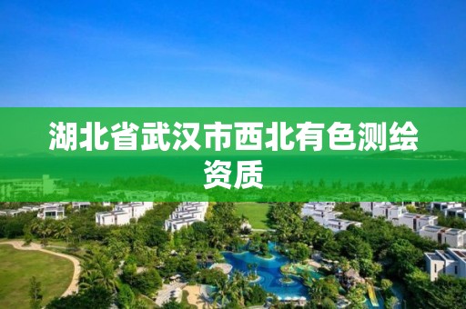 湖北省武汉市西北有色测绘资质