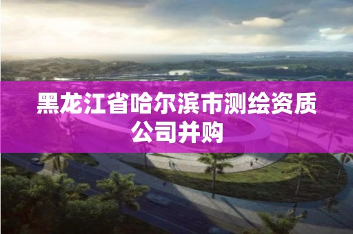 黑龙江省哈尔滨市测绘资质公司并购