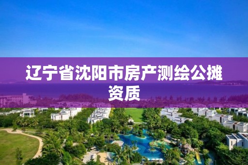 辽宁省沈阳市房产测绘公摊资质