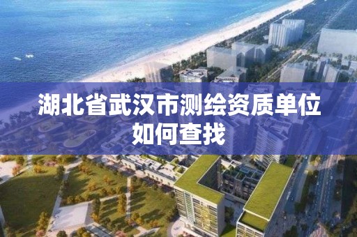 湖北省武汉市测绘资质单位如何查找