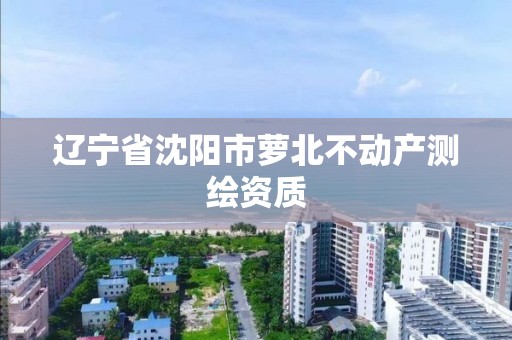 辽宁省沈阳市萝北不动产测绘资质