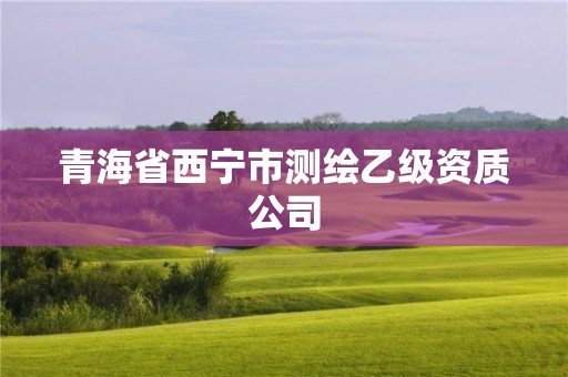 青海省西宁市测绘乙级资质公司