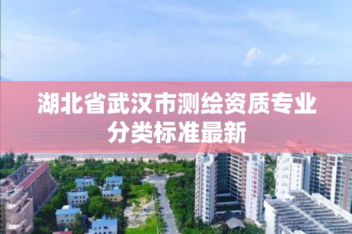 湖北省武汉市测绘资质专业分类标准最新