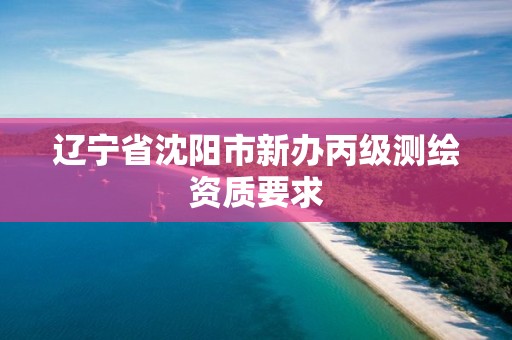 辽宁省沈阳市新办丙级测绘资质要求