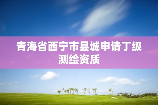 青海省西宁市县城申请丁级测绘资质