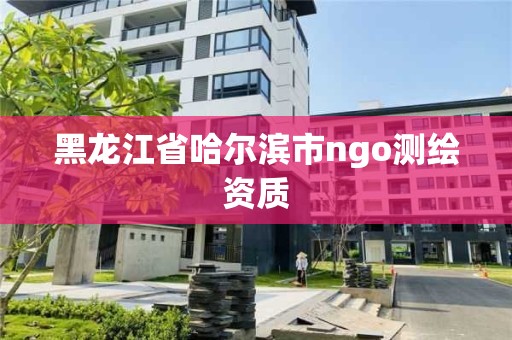 黑龙江省哈尔滨市ngo测绘资质