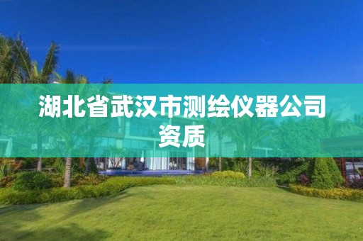 湖北省武汉市测绘仪器公司资质