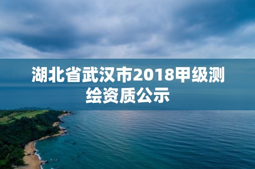 湖北省武汉市2018甲级测绘资质公示