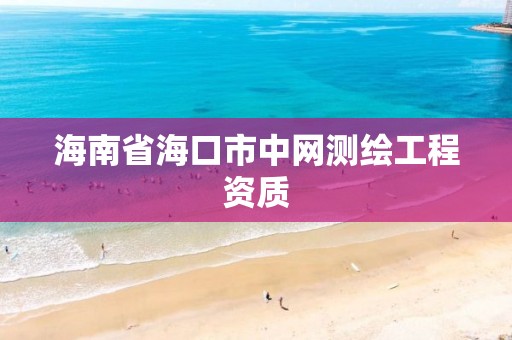 海南省海口市中网测绘工程资质