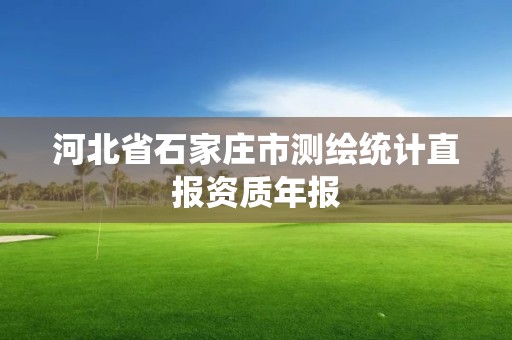 河北省石家庄市测绘统计直报资质年报