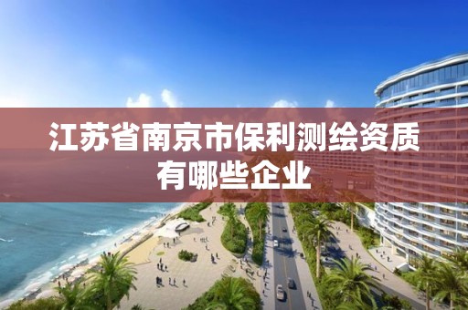 江苏省南京市保利测绘资质有哪些企业