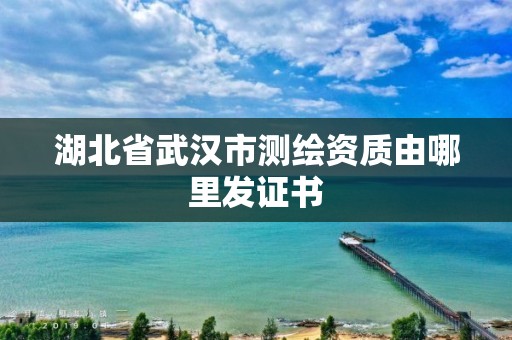 湖北省武汉市测绘资质由哪里发证书