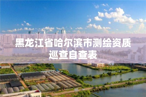 黑龙江省哈尔滨市测绘资质巡查自查表