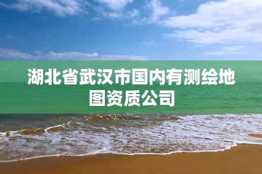 湖北省武汉市国内有测绘地图资质公司