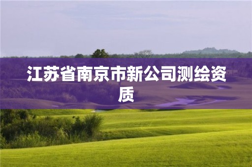 江苏省南京市新公司测绘资质