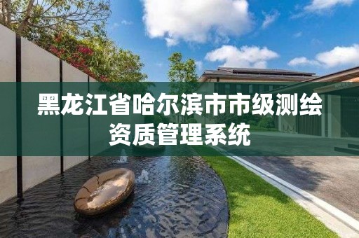 黑龙江省哈尔滨市市级测绘资质管理系统