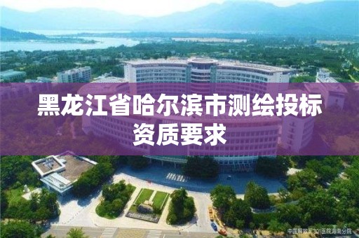 黑龙江省哈尔滨市测绘投标资质要求