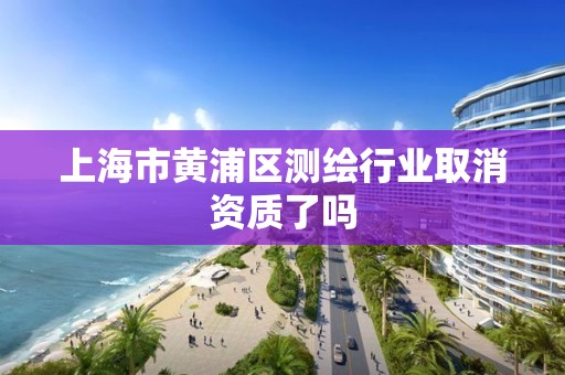 上海市黄浦区测绘行业取消资质了吗