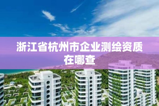 浙江省杭州市企业测绘资质在哪查