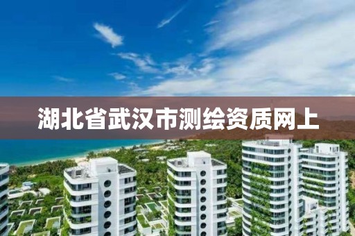 湖北省武汉市测绘资质网上