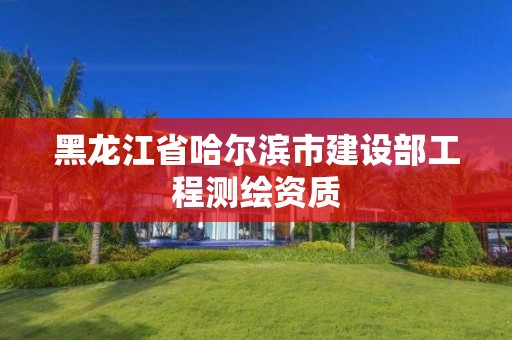 黑龙江省哈尔滨市建设部工程测绘资质