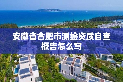 安徽省合肥市测绘资质自查报告怎么写