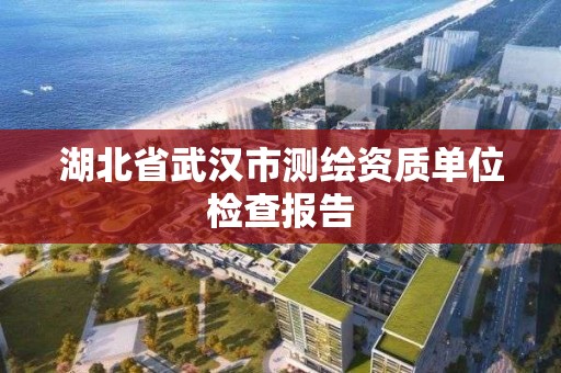 湖北省武汉市测绘资质单位检查报告