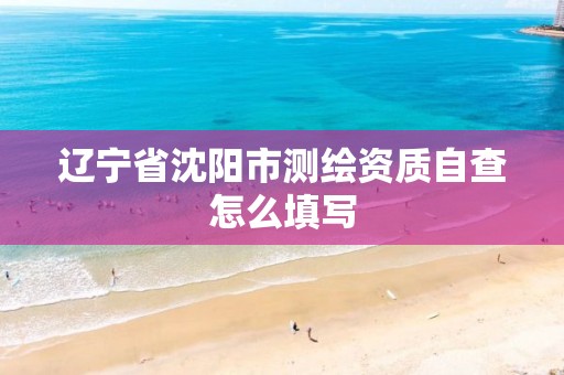 辽宁省沈阳市测绘资质自查怎么填写