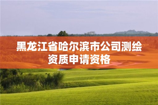 黑龙江省哈尔滨市公司测绘资质申请资格