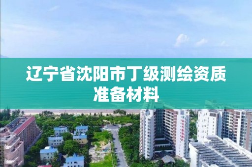 辽宁省沈阳市丁级测绘资质准备材料