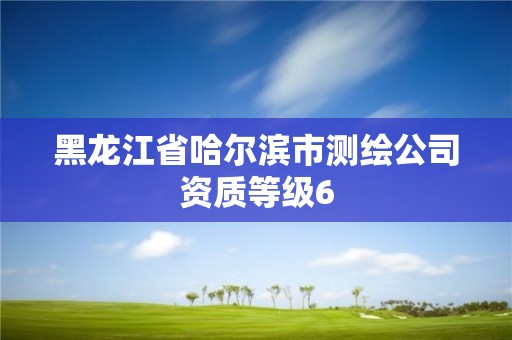 黑龙江省哈尔滨市测绘公司资质等级6