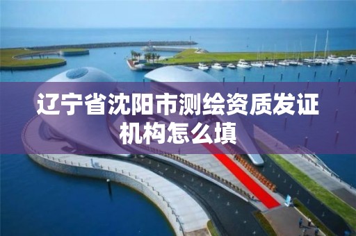 辽宁省沈阳市测绘资质发证机构怎么填