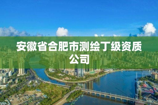 安徽省合肥市测绘丁级资质公司