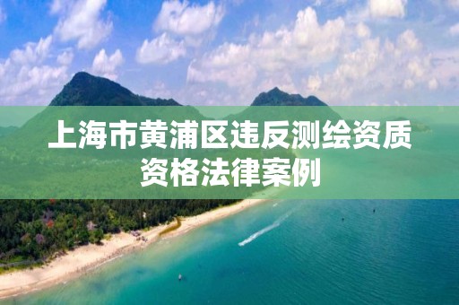 上海市黄浦区违反测绘资质资格法律案例