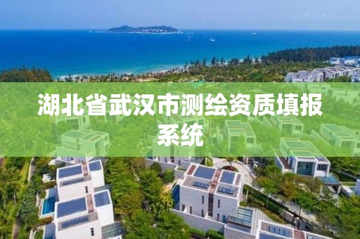 湖北省武汉市测绘资质填报系统